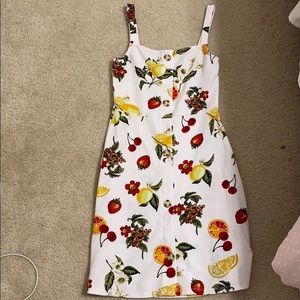 fruit button down dress